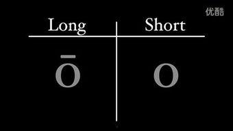 tube8国产,揭秘国内热门视频平台背后的精彩故事 第3张 tube8国产,揭秘国内热门视频平台背后的精彩故事 第3张